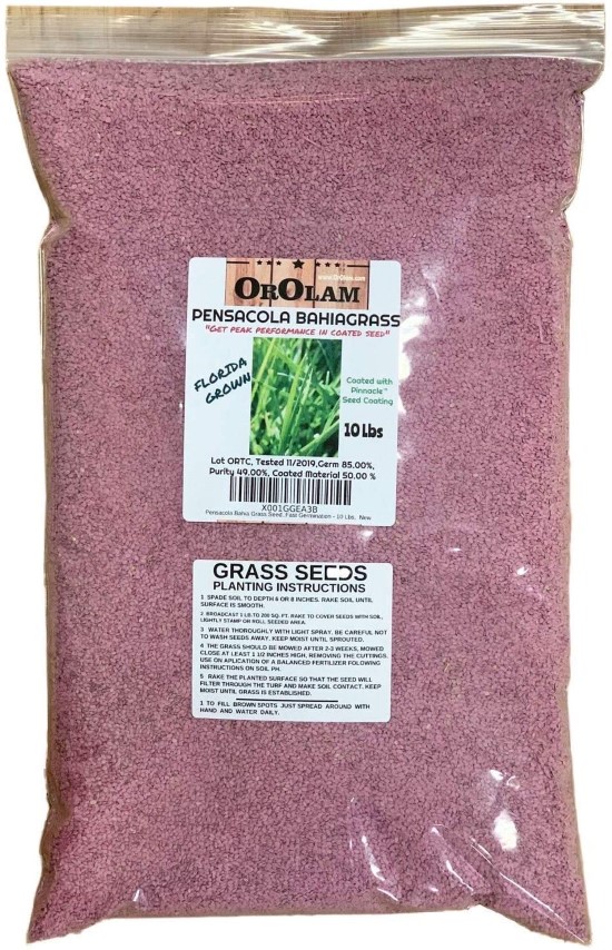 SeedRanch Pensacola 10 Lbs Bahia Grass Seed Best Grass Seed for Florida