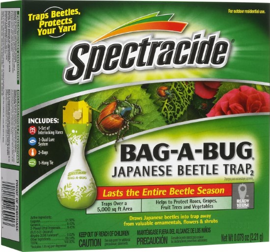 Spectracide Box Elder Bug Killer 10 Easy Ways On How To Get Rid Of Boxelder Bugs
