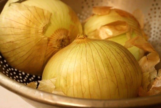The Secret Of How To Grow Big Onions