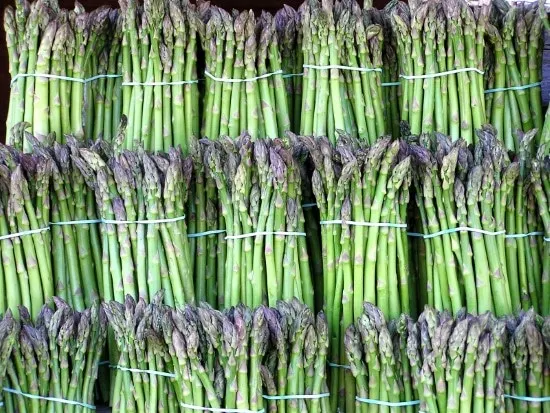 What does asparagus look like