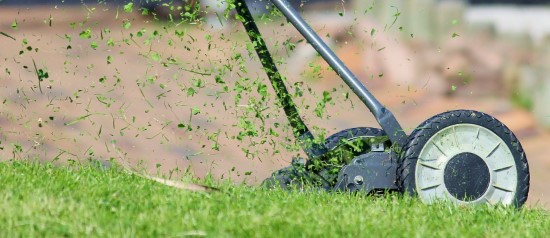 Cut grass to less than 2 inches How to overseed lawn without aerating