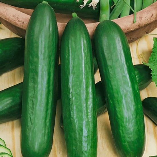 Emelya Cucumber