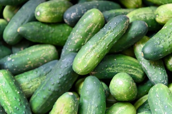 How to tell if a cucumber is ripe