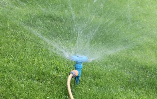 Water the grass How to overseed lawn without aerating