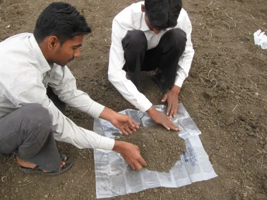 soil analysis How To Transplant Grass