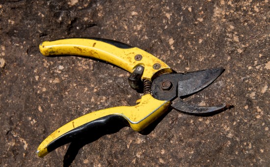 Bypass secateurs What Are Secateurs
