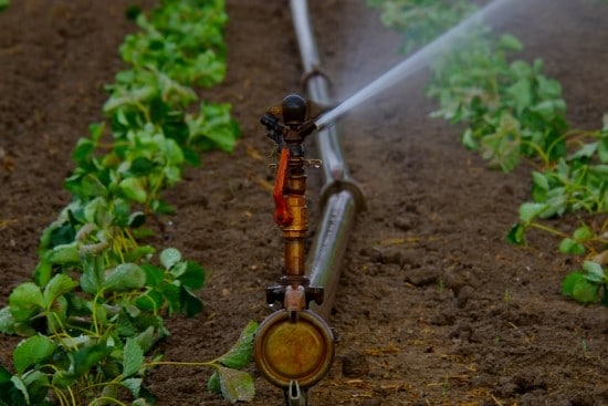 How To Install A Sprinkler System 3