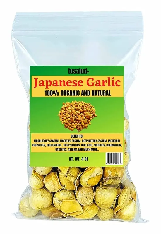 Japanese garlic What Animals That Eat Garlic