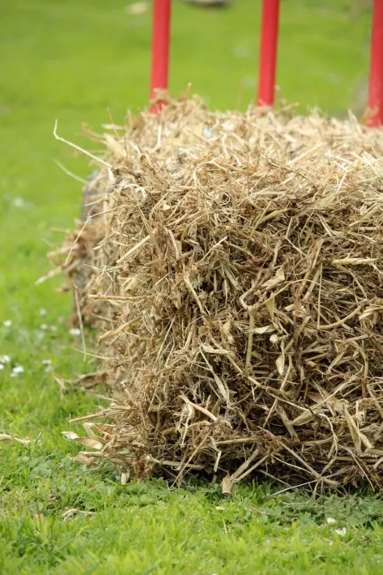 Mulch Straw Hay Why use Mulch