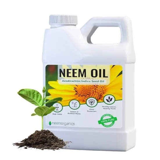 Neem Organics Pure Neem Oil How Do Mealy Bugs Get On Plants