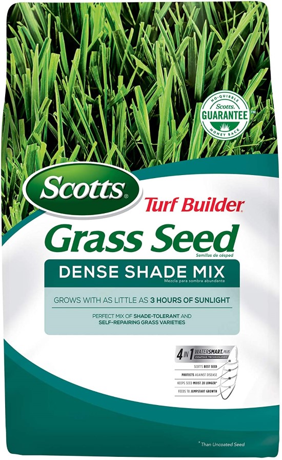 Scotts 18348 Grass Seed What To Do When Grass Wont Grow Under Trees