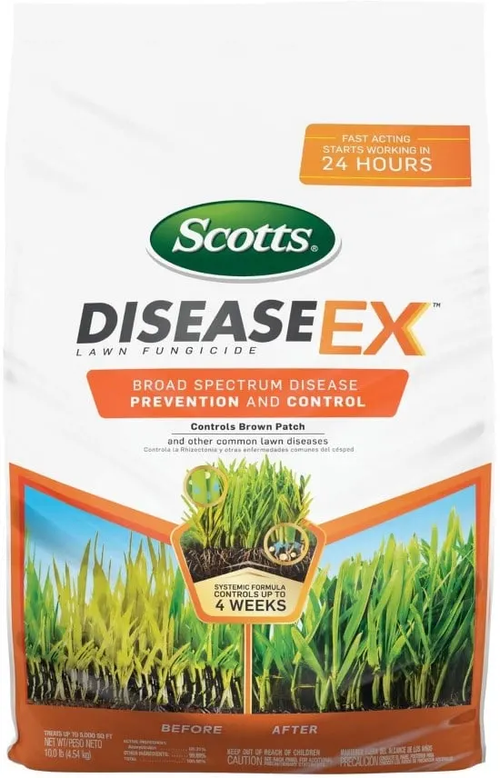 Scotts DiseaseEx Lawn Fungicide What To Do When Grass Wont Grow Under Trees