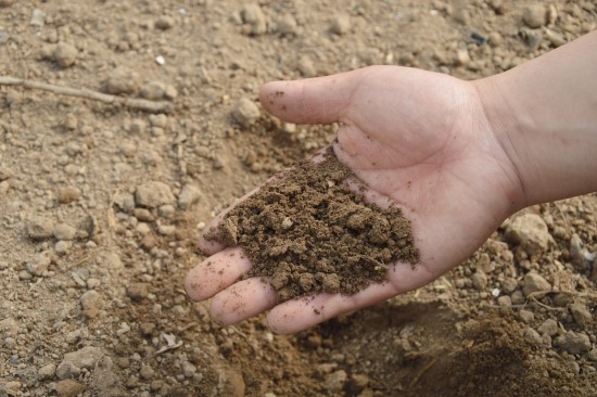 Soil type What Mulch Is Good For Vegetable Gardens