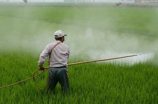 What Do Herbicides Kill