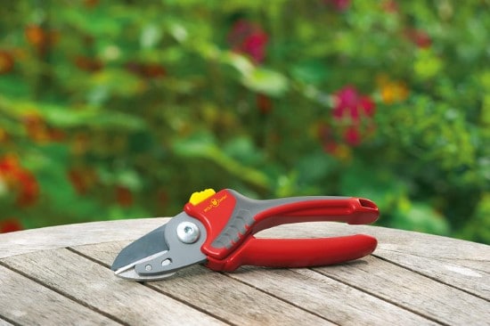 What Are Secateurs