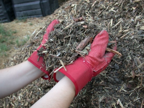 How To Dispose Of Old Mulch