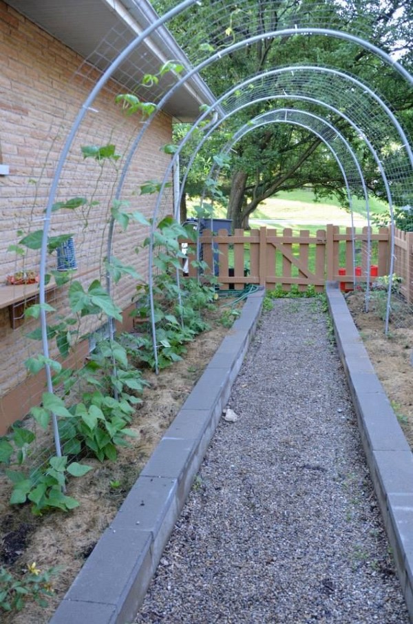 How To Make A Garden Arch With Pvc Pipe