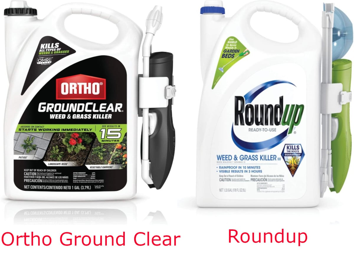 Ortho Ground Clear vs Roundup