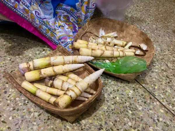 Bamboo shoots Vegetables That Start With B