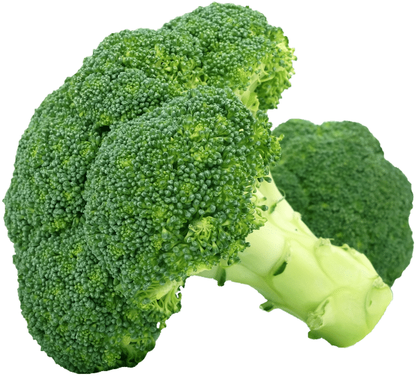 Broccoli Vegetables That Start With B