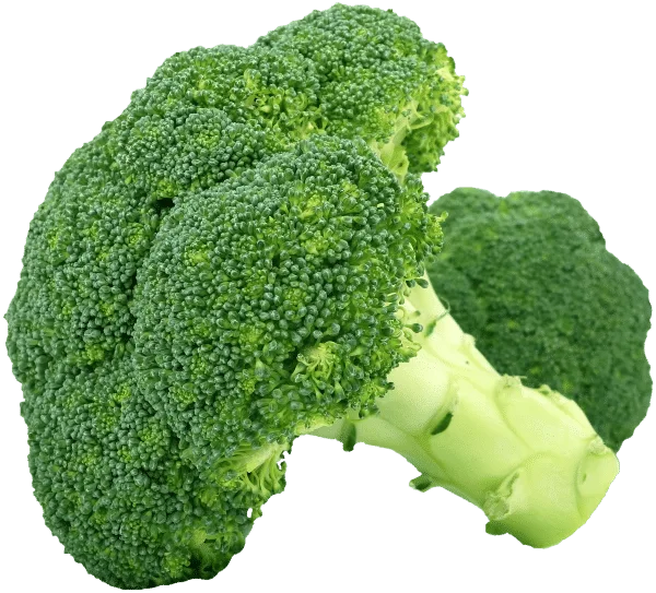 Broccoli Vegetables That Start With B