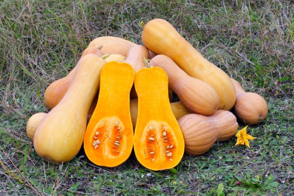 How Much Does A Butternut Squash Weigh