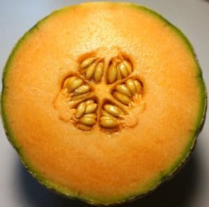 How To Save Cantaloupe Seeds