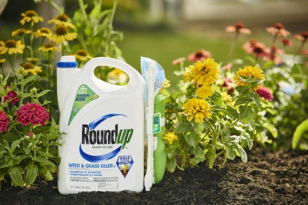 Roundup Ready To Use 1.33 Gallon Extended Control Weed Killer Best Weed Killer For Gravel 2