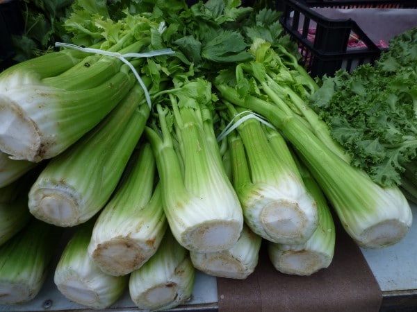 Celery Vegetables that start with C