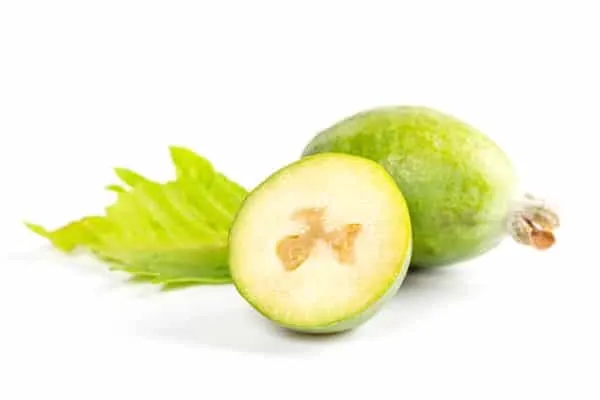 Feijoa Vegetables that start with F