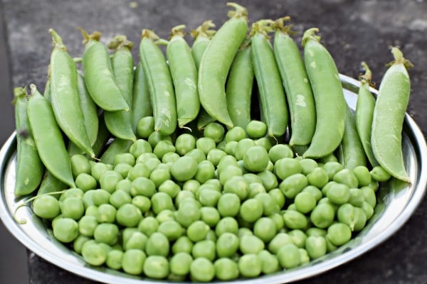 Green pea Vegetables That Start With G