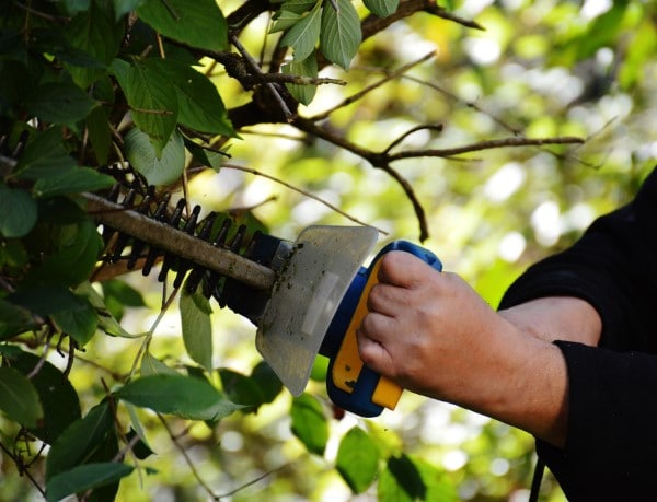 How To Sharpen Hedge Trimmer Blades
