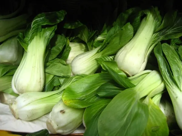 Pak Choi Vegetables That Start with P