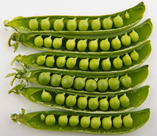 Peas in Pods Vegetables That Start with P