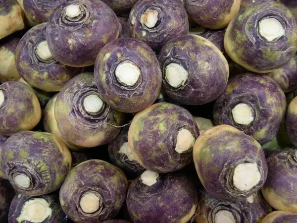 Rutabaga Vegetables that start with R