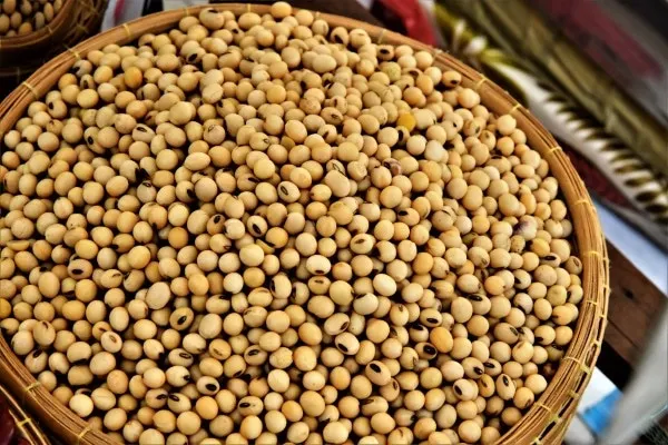 Soy Beans Vegetables that start with S