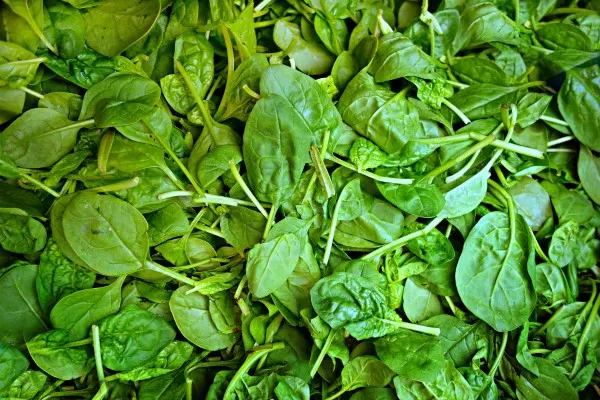Spinach Vegetables that start with S