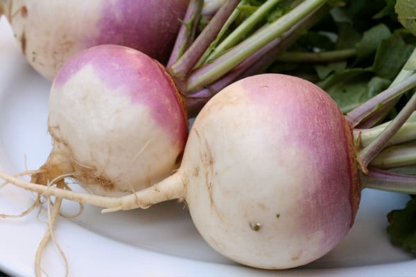 Turnip Vegetables that start with T