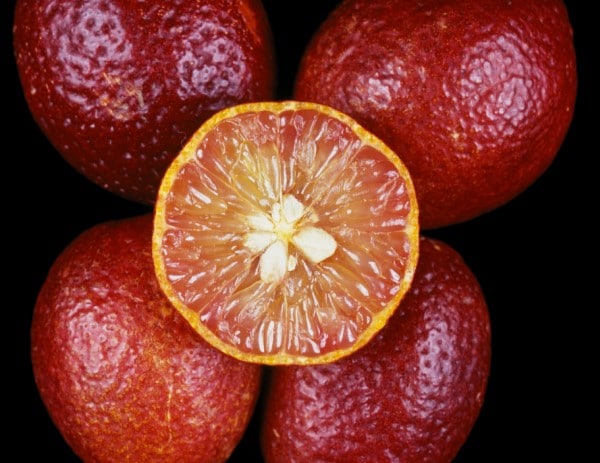 Blood Limes