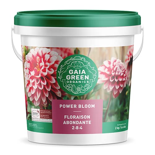 Holland Basics 2 8 4 2kg Power Bloom Living Soil Best Gaia Green Living Soil Reviews