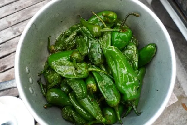 How To Store Poblano Peppers