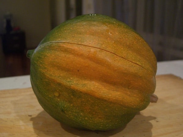 How To Tell If Acorn Squash Is Ripe 2