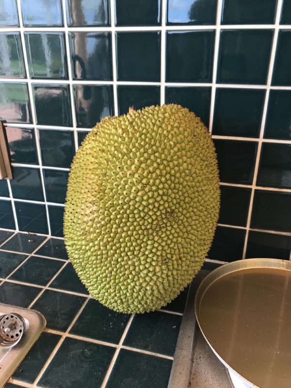 How To Tell if Jackfruit is Ripe 1