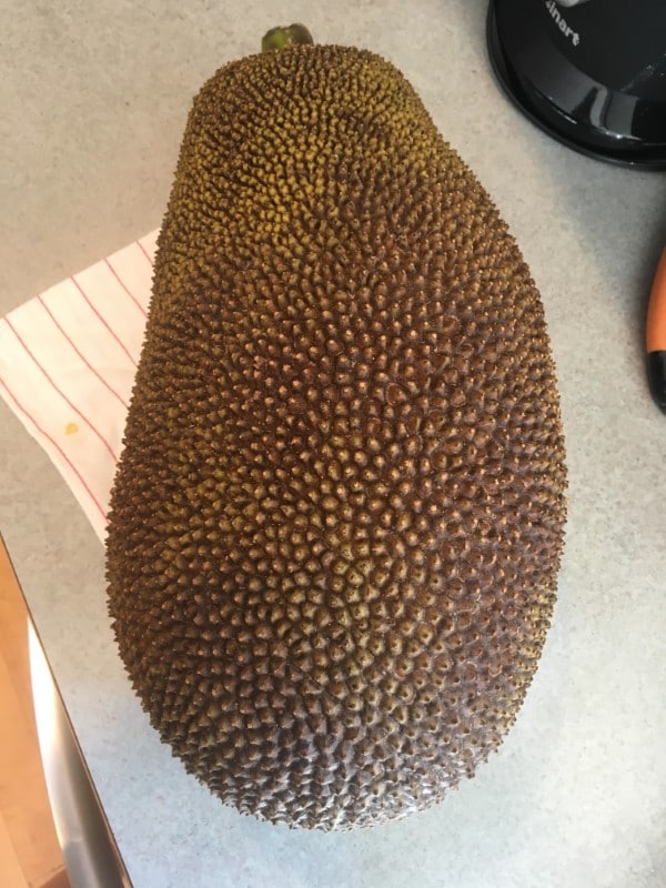 How To Tell if Jackfruit is Ripe 2