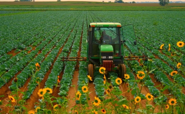 how-to-make-rows-in-a-garden-with-a-tractor-4-helpful-instructions