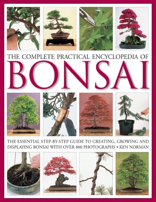 Ken Norman The Complete Practical Bonsai Encyclopedia Book Best Bonsai Books