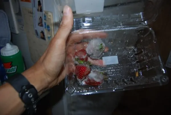Why Do Strawberries Mold So Fast 2