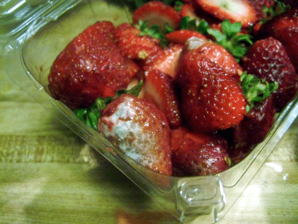 Why Do Strawberries Mold So Fast