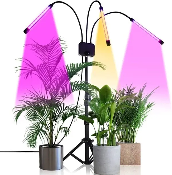 GHodec Tripod Stand Adjustable Grow Light for Fiddle Leaf Fig Best Grow Light For Fiddle Leaf Fig