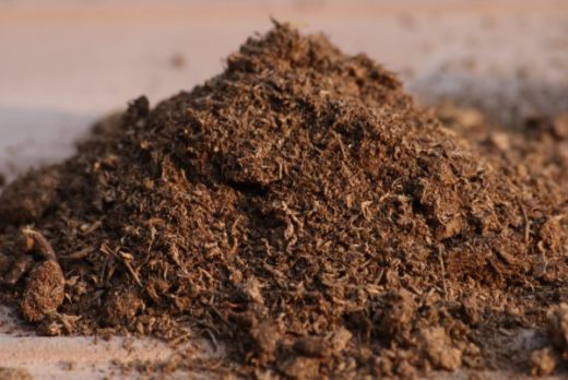 How Much Peat Moss For Overseeding? (Overseeding In 5 Easy Steps!)